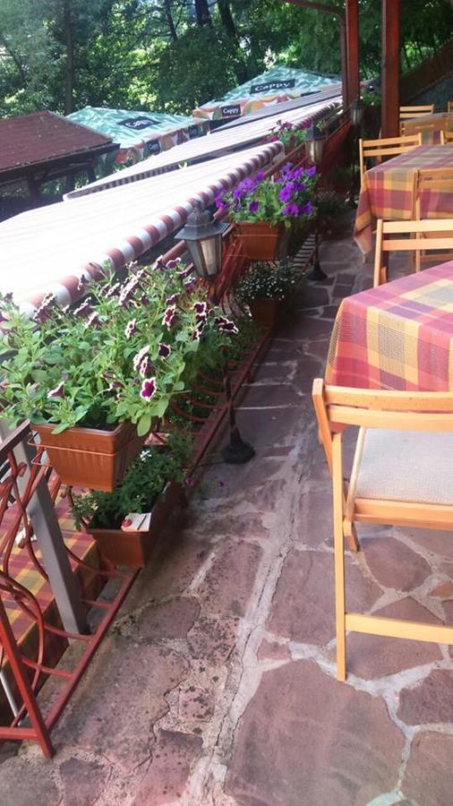 Hotel Restaurant Vodenitsata Berkovitsa Dış mekan fotoğraf